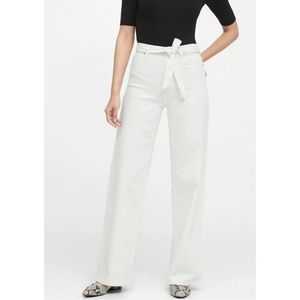 Banana Republic High-Rise Wide-Leg Jean